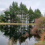Stephen carruthers - @carruthersarchitect - Instagram