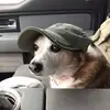 stephencasner861 - @stephencasner861 - TikTok