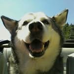 Stephen Casterline - @stephencasterline - Instagram