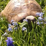 Steve 🐢 Casterton - @stephencasterton - Instagram