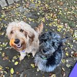 Susan Cataldo Stephens - @susancataldostephens - Instagram