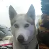 stephencausey45 - @stephencausey4517 - TikTok