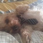 Stephen Chaisson - @chaissonstephen - Instagram