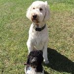 Stephen Chaisson - @stephenchaisson - Instagram