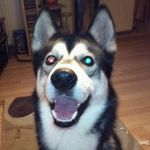 Stephen Chalmers - @stephenchalmers83 - Instagram