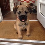 Stephen Chalmers - @scrappybarry - Instagram