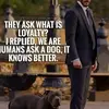 Stephen Chamberlain - @stephen.chamberla5 - TikTok