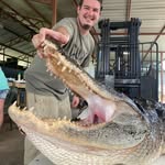 Stephen - @stephencharest6293 - Instagram