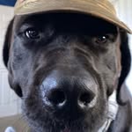 Stephen Checkley - @mofolio420 - Instagram