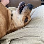 Stephen Ching - @slugman211 - Instagram