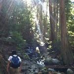 Stephen Ching - @stephenyching - Instagram