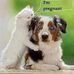 Stephen Chouinard - Facebook