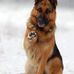 Marek Chovanec - Facebook