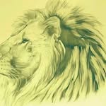 Stephen Christopher - @stephensmartchristopher - Instagram
