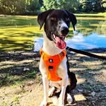 Stephen Christopher - @stephen.christopher.41 - Instagram