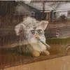 Stephen - @stephen_christopher - TikTok
