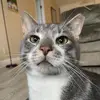 Stephanie Ciccarelli - @stephciccarelli - TikTok