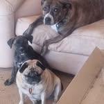 Stephen Clift - @steve2270 - Instagram