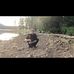Stephen Cody - Facebook