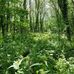 Stephen Coffey - Facebook