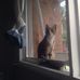 Stephen Coffey - Facebook