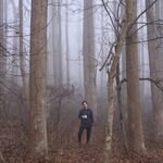 Stephen Coghil Bush - @stephencoghillbush_art - Instagram