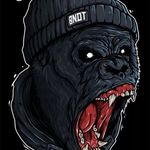 Stephen Coker - @porchhonky66 - Instagram