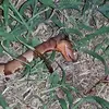 Stephen Coker - @stephen.coker - TikTok
