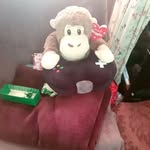 Stephen John Coldwell - @steveboris17 - Instagram