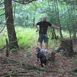 Stephen Colley - @stephen.colley.art - Instagram