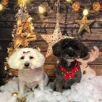 Stephen Collinson - @scollinson79 - Instagram