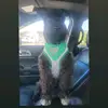 steph colón - @stephcoln - TikTok