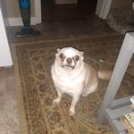 Stephen Comiskey - @stephen.comiskey.50 - Instagram