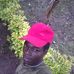 Sypin Dripper - Facebook