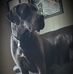 Steven Comstock - Facebook