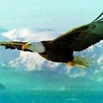 Stephen T. Conder - @conder.stephen - Instagram