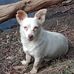 Stephen Condie - Facebook