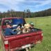 Steve Considine - Facebook