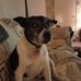 Stephen Cooksey - Facebook