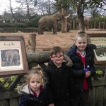 Stephen Cooney - @stephen.cooney.906 - Instagram