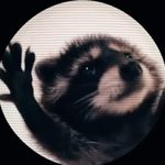 Steven Coon - @stevencoon_ - Instagram