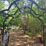 Stephen and  Tammy Coons - @61122wonderland - Instagram
