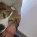 Stephen Corcoran - Facebook