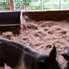 Stephen Cormier - @stephen.cormier - TikTok