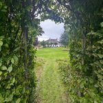 Stephen Corrigan - @seaview_gardens - Instagram
