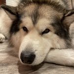 Stephen Corrigan Weisgerber - @stephenweisgerber - Instagram