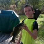 stephen cottingham - @stephen277k - Instagram