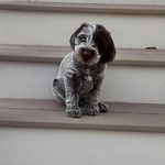 Stephen Cournoyer - @cournoyer.stephen - Instagram