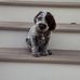 Stephen Cournoyer - Facebook