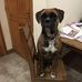 Stephen Coventry - Facebook
